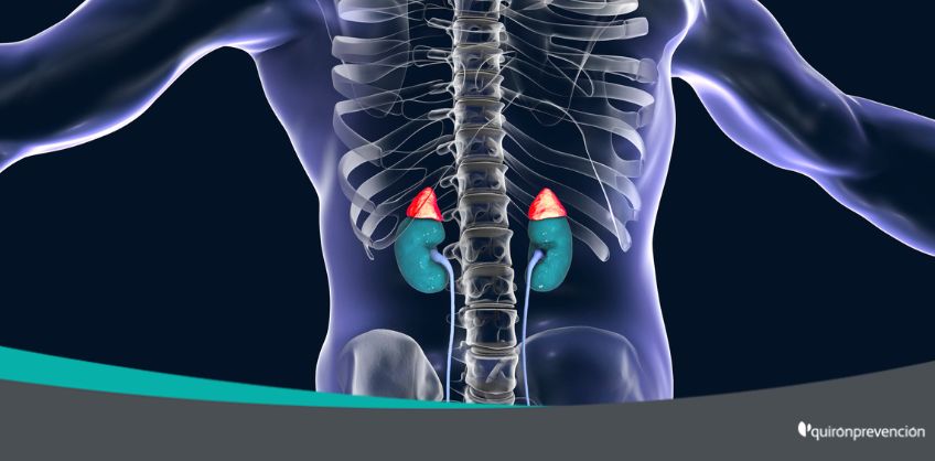 alteradores_endocrinos_imagengrande