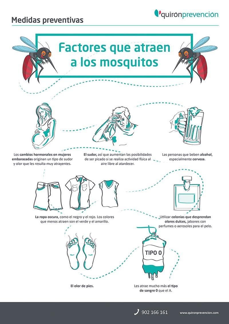 Infografia_Picaduras de Mosquito_quironprevencion_Baja_blog