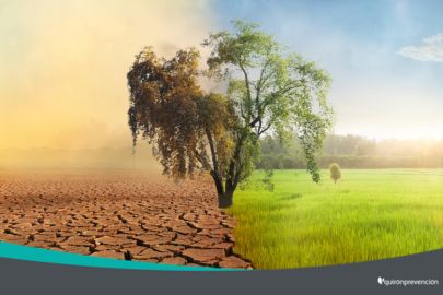 blogqp_imagenpequeña_entornoclimaticoexigente