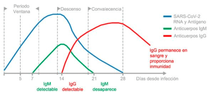 gráfico representativo de la covid19