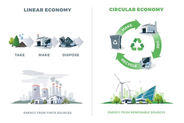 economia lineal vs economia circular (1)