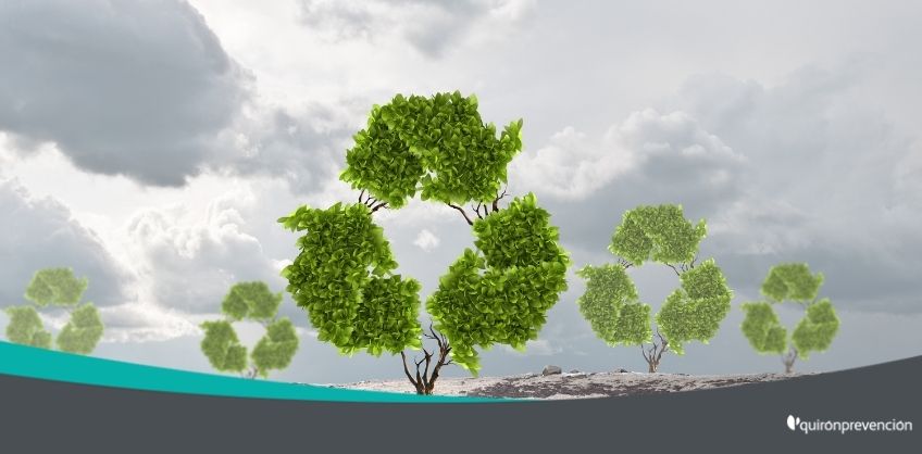 árboles con el icono del reciclaje imagen grande