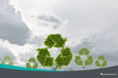 árboles con el icono del reciclaje imagen pequeña