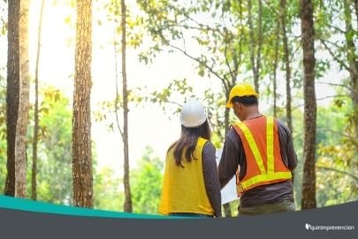 dos operarios estudiando una zona rodeada de árboles imagen pequeña