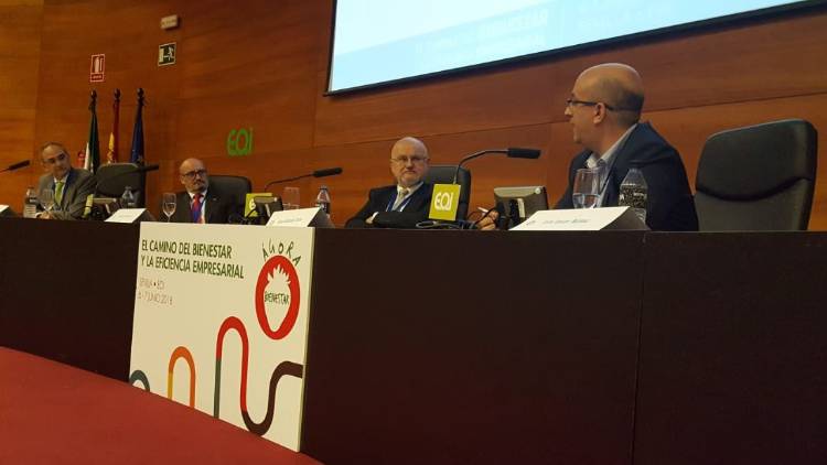 Mesa Redonda