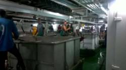 Operarios trabajando en un barco