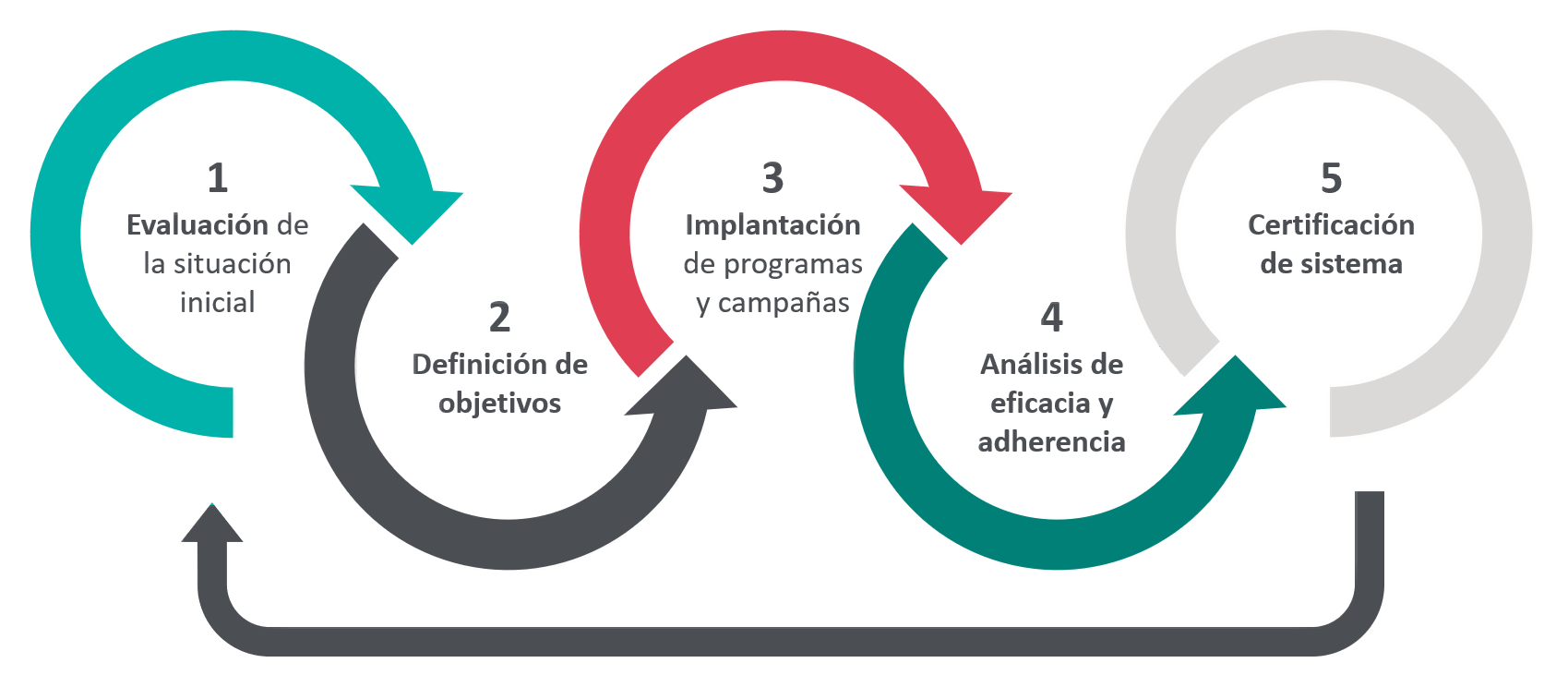 Nuestro modelo de Empresa Saludable