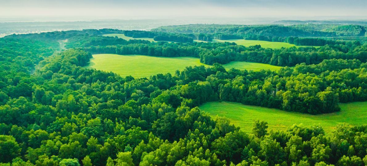 carrusel_qpplanet_webqp